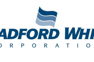 Bradford White logo