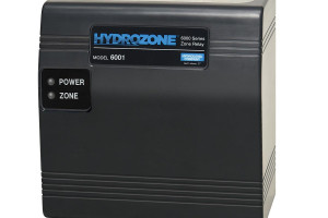 Hydrozone