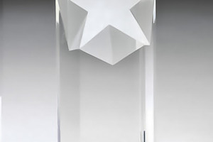 David Weekley Homes Award