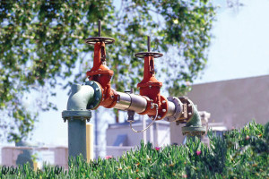 Watts RPZ Backflow Preventer 2 13 19