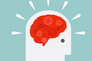 brain