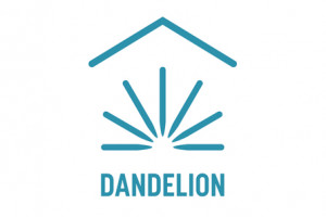 dandelion energy