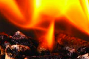 wood pellets